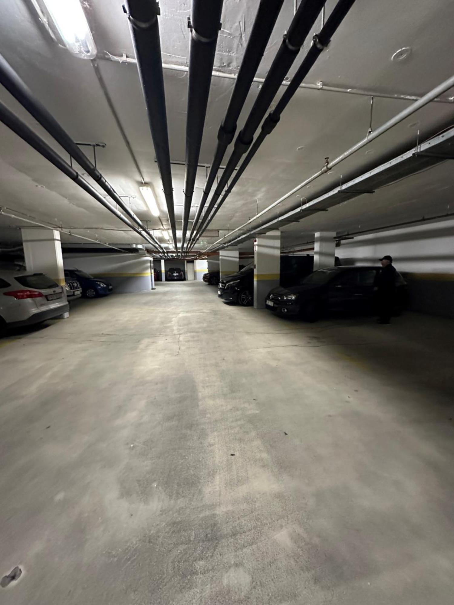 Peony Szekely Mihaly Apartment - Free Garage Budapest Eksteriør bilde